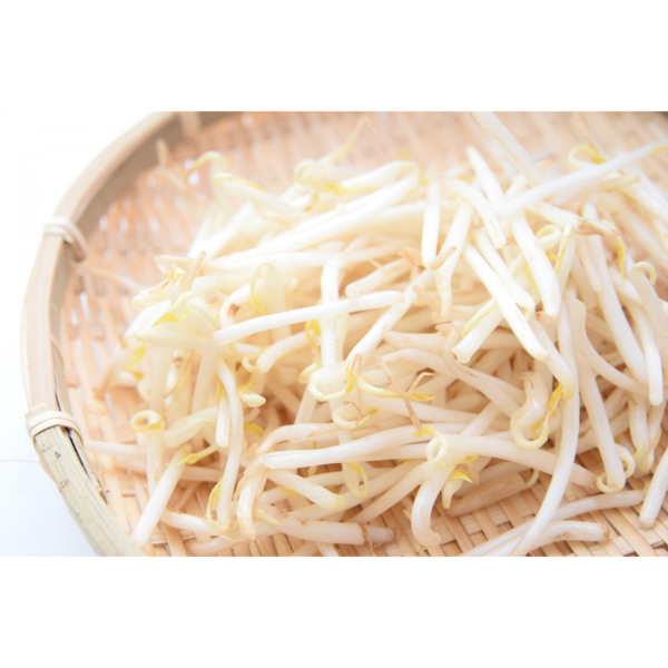 Bean Sprouts